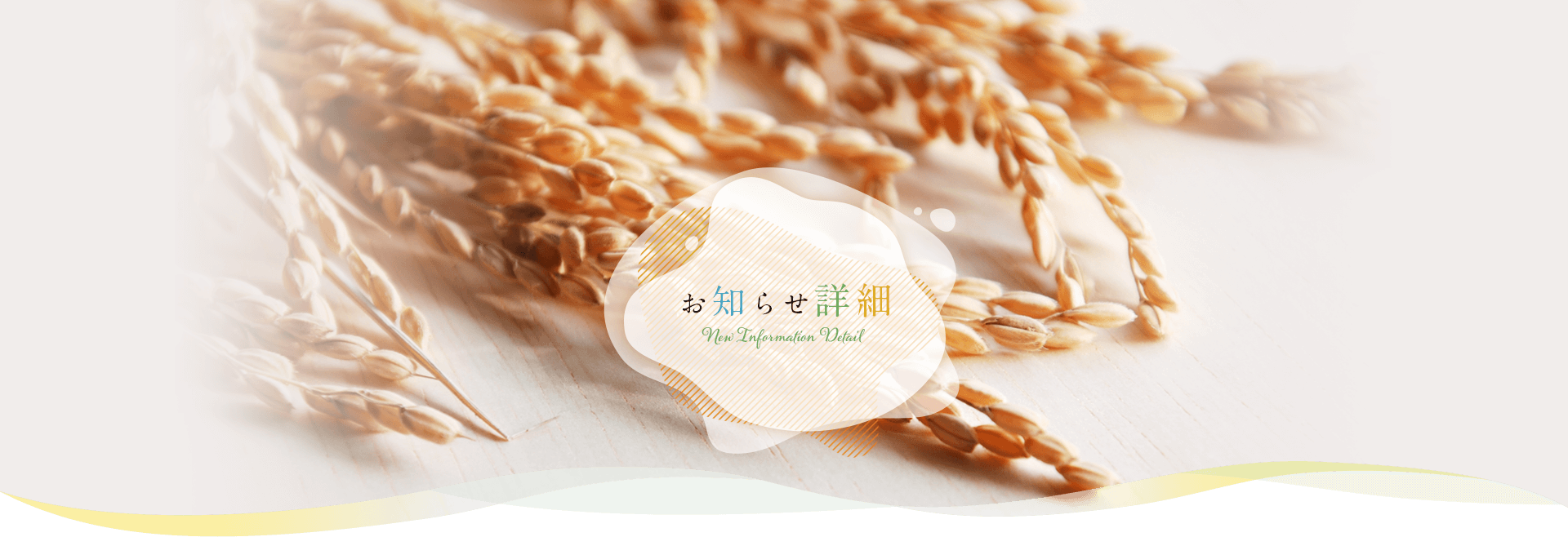 【新レシピ】米粉のココア蒸しパン